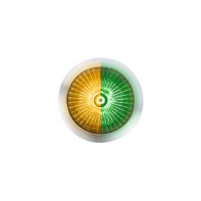 4 Amber and Green LED Dual Function Fury Spike Clearance Marker Light with Clear Lens