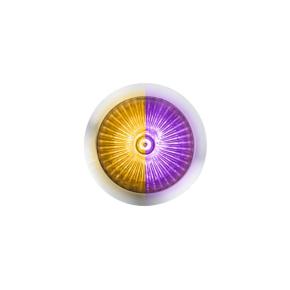 4 Amber and Purple LED Dual Function Fury Spike Clearance Marker Light with Clear Lens
