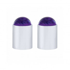 Stainless Bumper Guide Kit w/ Dome Lens Top - Purple Lens